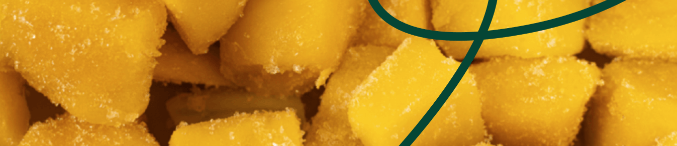 lower_banner.png